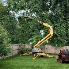 Best Commercial Tree Services  in Clinton, OH