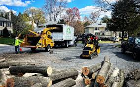 Best Utility Line Clearance  in Clinton, OH