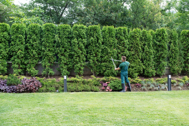 Lawn Irrigation Installation and Maintenance in Clinton, OH